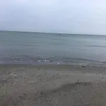 6 Person In *